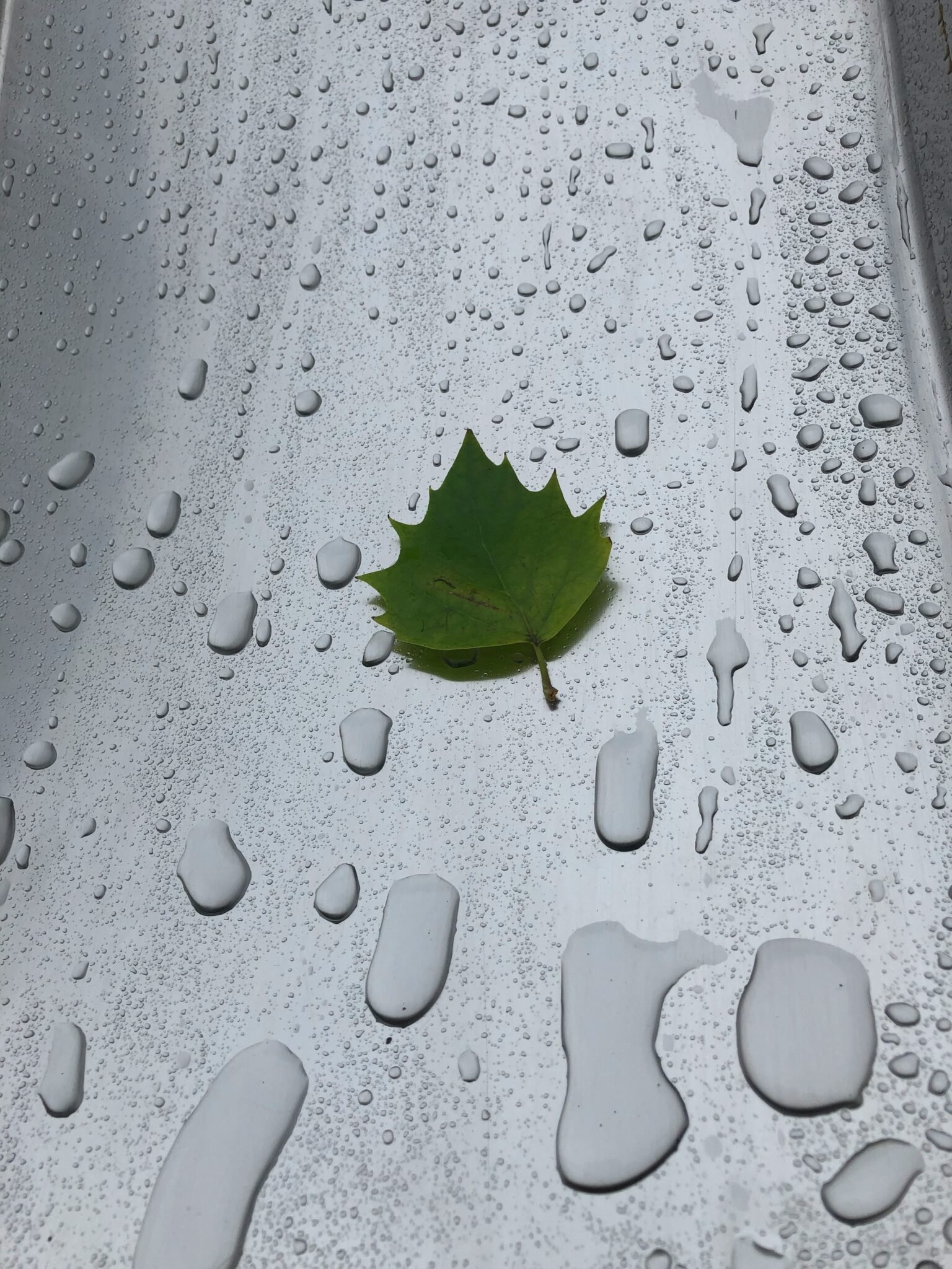 lois portelli nzokqbucciy unsplash